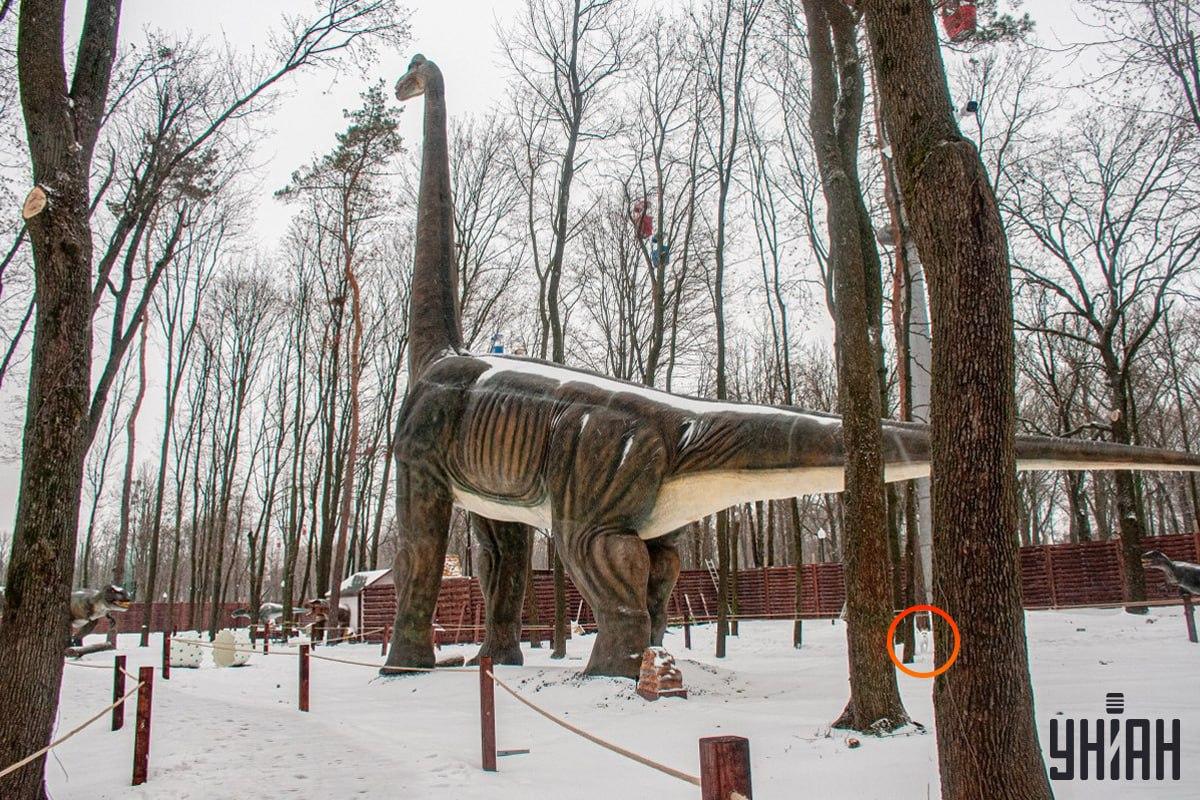 Câinele era aproape de colțul din stânga jos al imaginii / colaj Moje