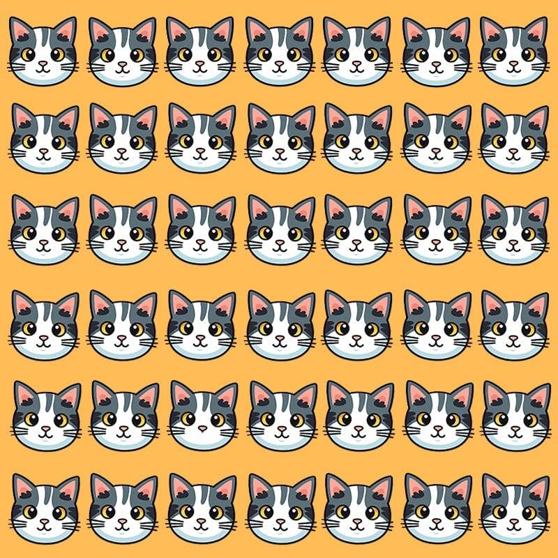 Această iluzie optică este posibilă doar pentru persoanele cu IQ grandios / imagine Moje