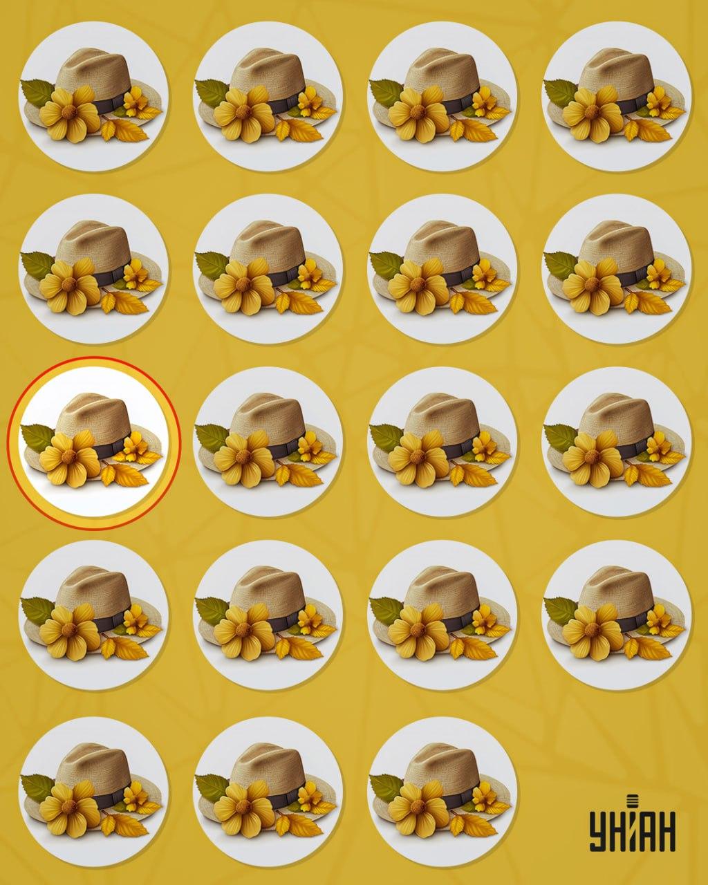 Pălăria ciudată se deosebea de celelalte printr-un mic detaliu / colaj Moje