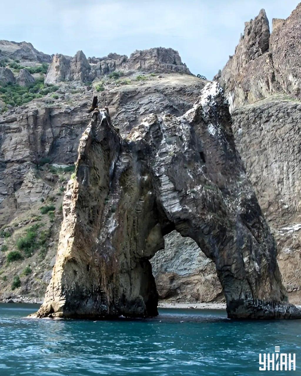 Este nevoie de mai puțin de 10 secunde pentru a găsi vulturul în imaginea puzzle / colaj cu fotografia Moje