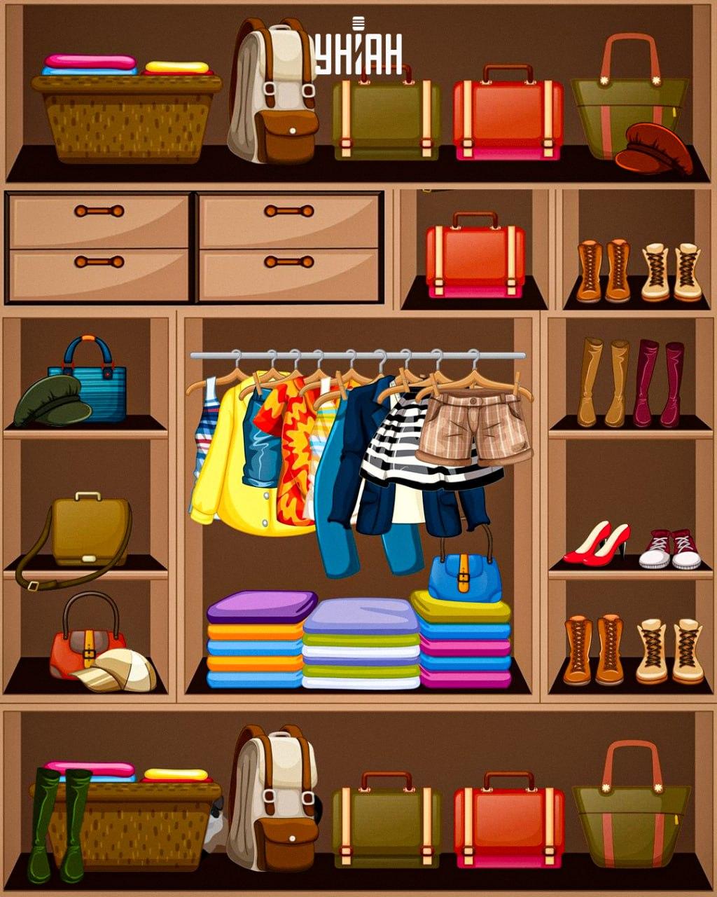 Trebuie să găsești o pisică vicleană / colaj Moje