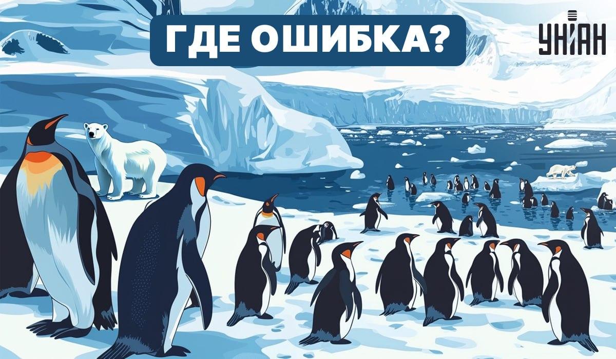 Îți poți da seama ce este greșit în imagine? / Moje