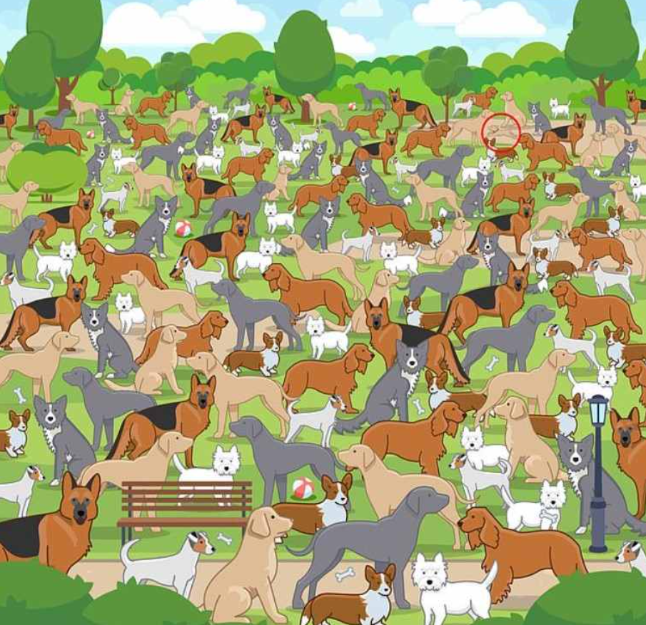 Jagranjosh fotografie