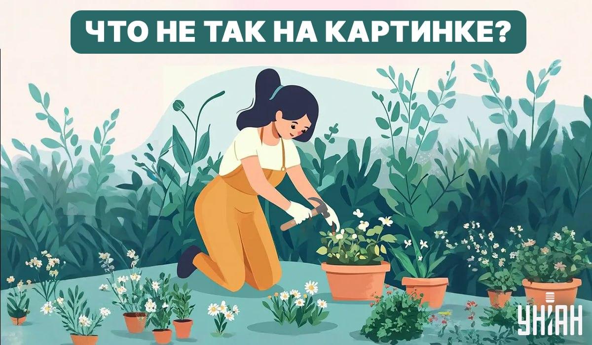 Încercați să găsiți o greșeală / Colaj - Moje