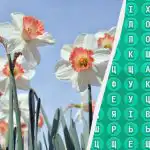 98% dintre oameni nu pot găsi cuvântul "primăvară" în 10