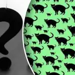 Cea mai dificilă provocare chiar și pentru cei mai ageri