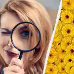 Doar 1 din 10 persoane va găsi o căprioară într-o