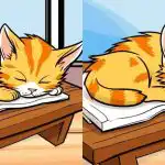 Doar cei mai atenți vor găsi 3 diferențe dintr-o imagine