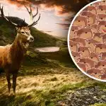 Doar persoanele cu IQ ridicat se pot descurca: trebuie să