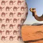 Doar Sherlock Holmes din zilele noastre vor găsi cămila ciudată: un mister pentru cei mai iscusiți dintre iscusiți Doar Sherlock Holmes din zilele noastre vor găsi cămila ciudată: