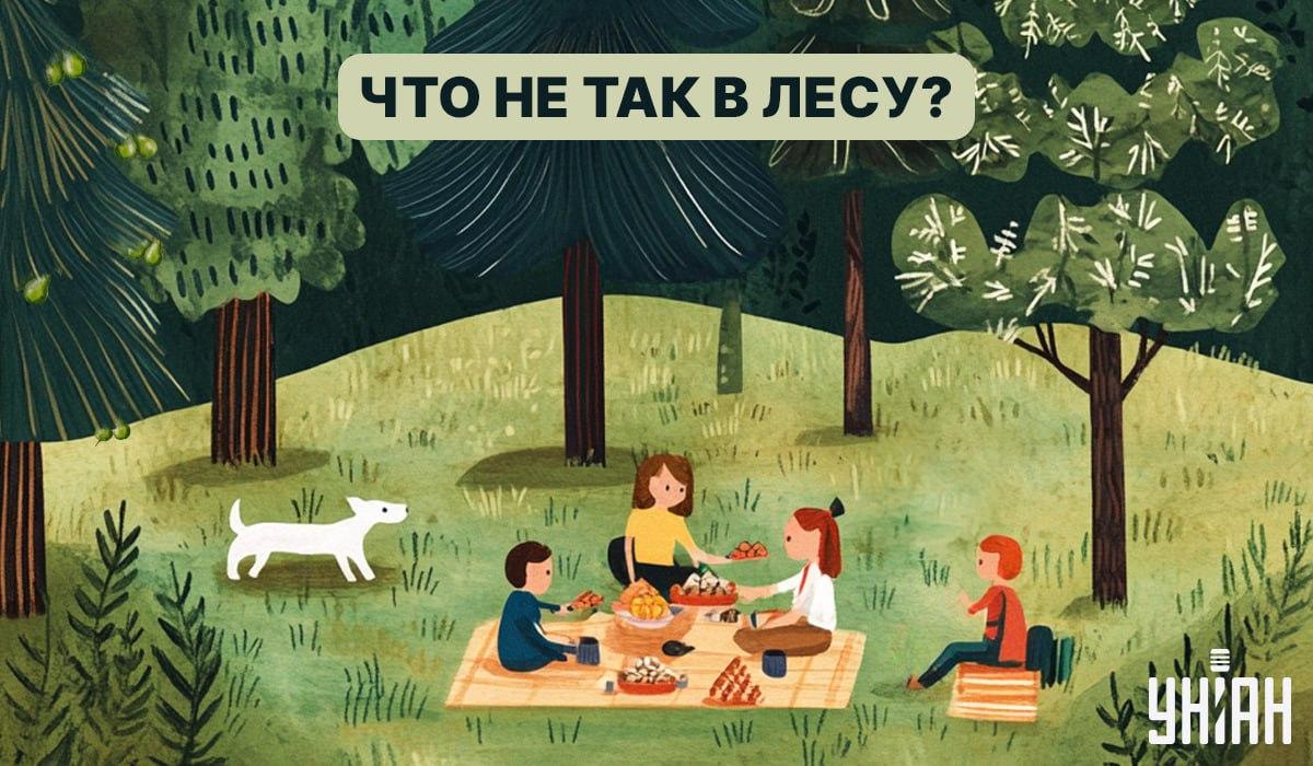 Găsiți un gândac în pădure în 5 secunde: un test rapid pentru verificarea IQ-ului