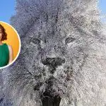 Persoană "închisă" sau "sociabilă": ce poate spune iluzia optică despre