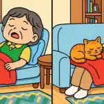 Test de geniu: încercați să găsiți 3 diferențe într-o imagine