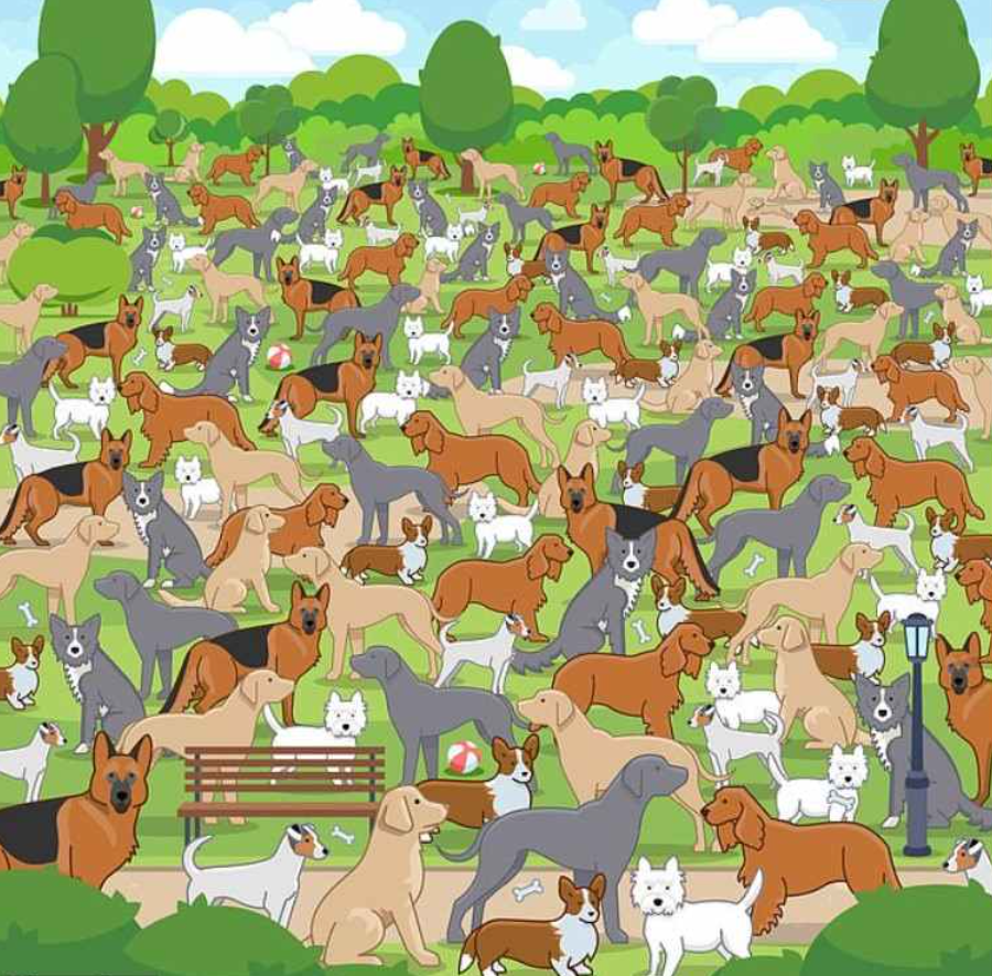 Jagranjosh fotografie