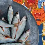 Trebuie să găsiți pește printre pisici: un puzzle distractiv pentru persoanele cu vedere de vultur Trebuie să găsiți pește printre pisici: un puzzle distractiv pentru