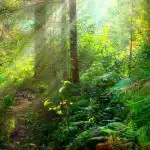 Un puzzle pentru cei cu vedere excelentă: trebuie să găsești