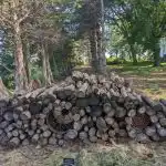 Un puzzle pentru cei mai veseli și descurcăreți: trebuie să găsești pisica în 7 secunde. Un puzzle pentru cei mai veseli și descurcăreți: trebuie să